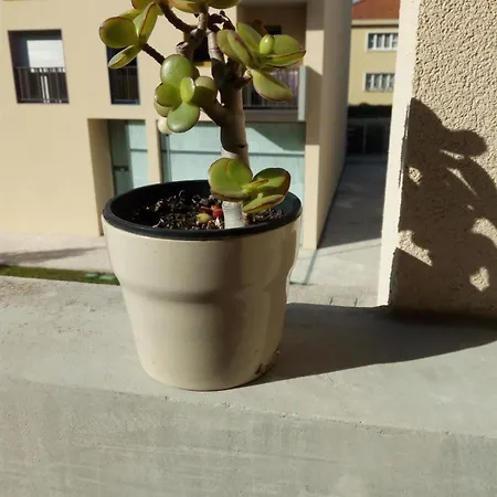 Calypso Appartement