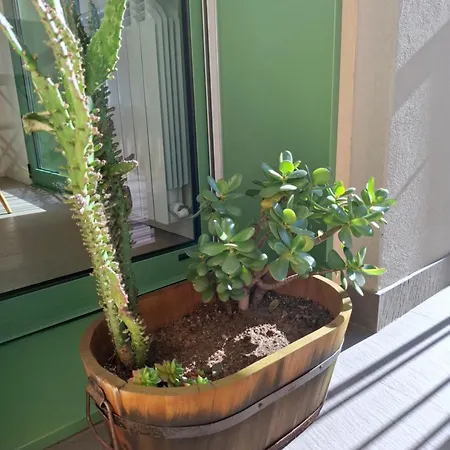 Calypso Appartement Póvoa de Varzim